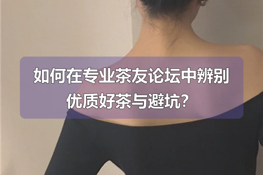 如何在专业茶友论坛中辨别优质好茶与避坑？